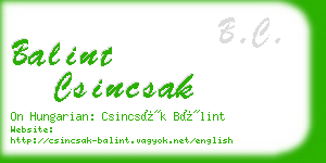 balint csincsak business card